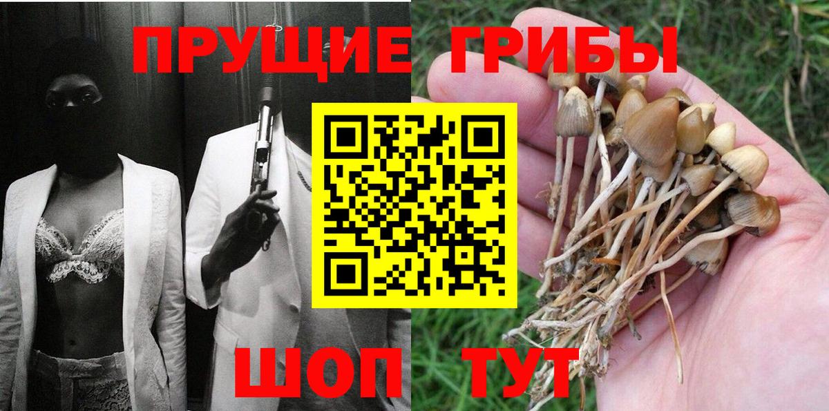 Дедовск  Галлюциногенные грибы Cubensis  Вход с VPN 